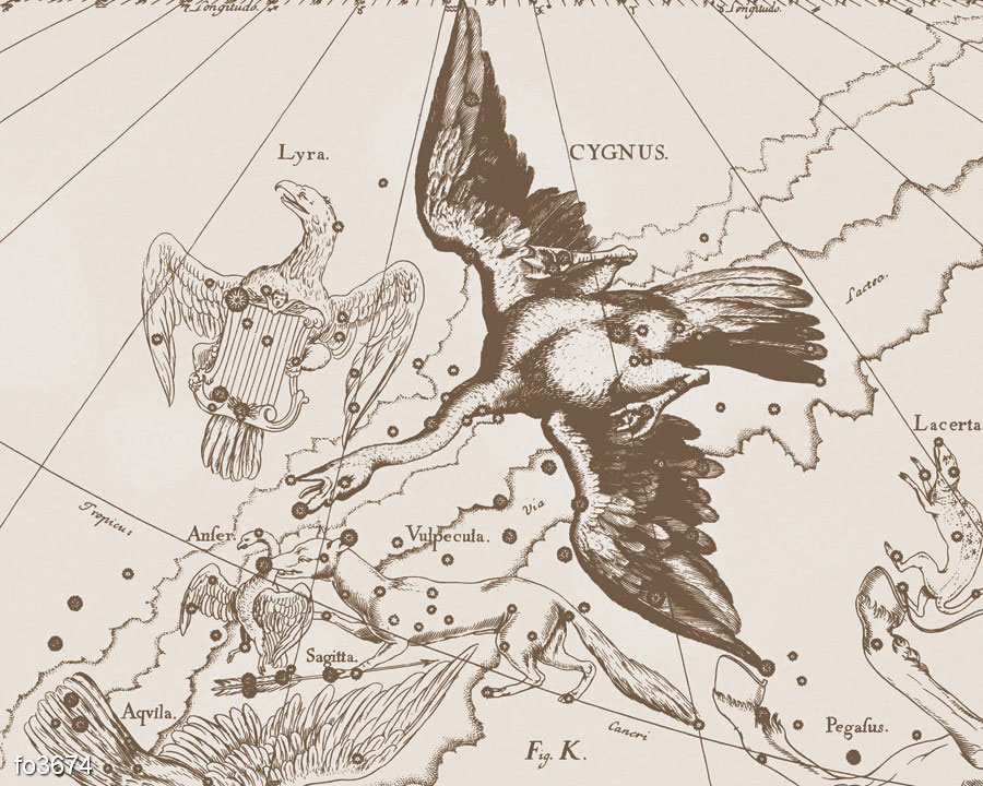 Найдите на изображении следующие созвездия орел лира лебедь