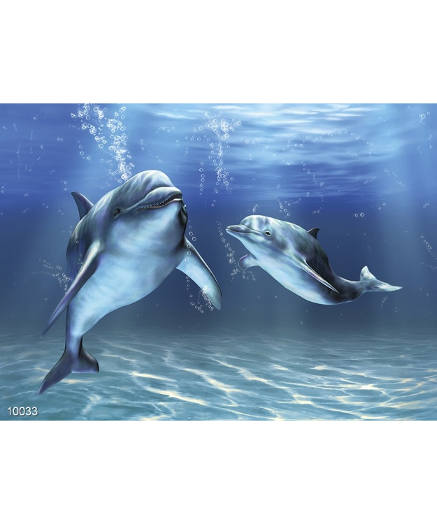 delfiny-4