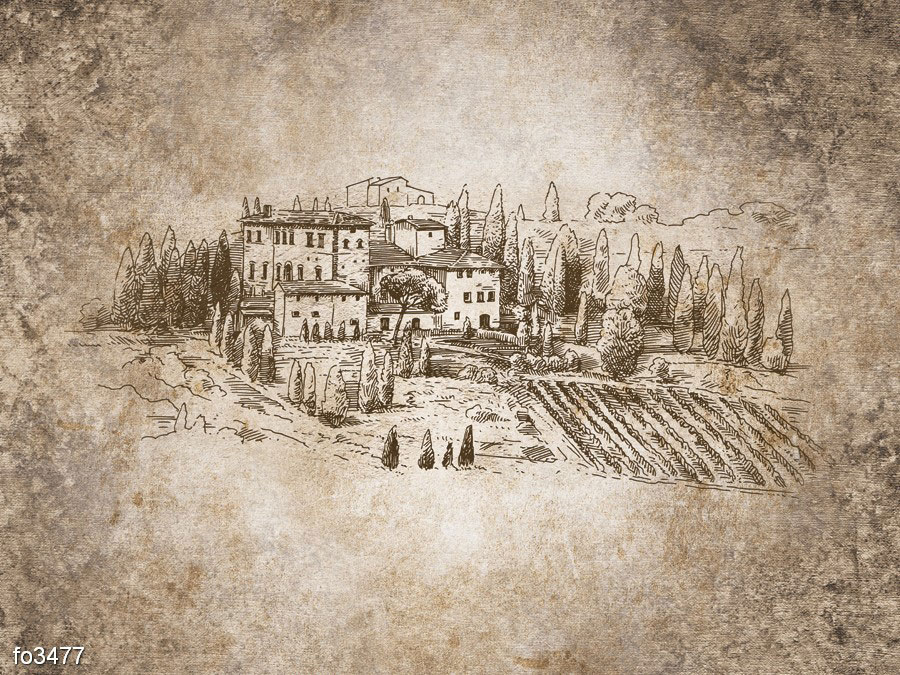 vinogradnik-grafika-2