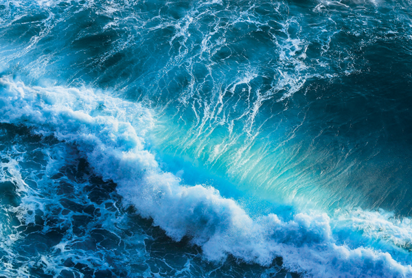 m-256-morskaya-volna