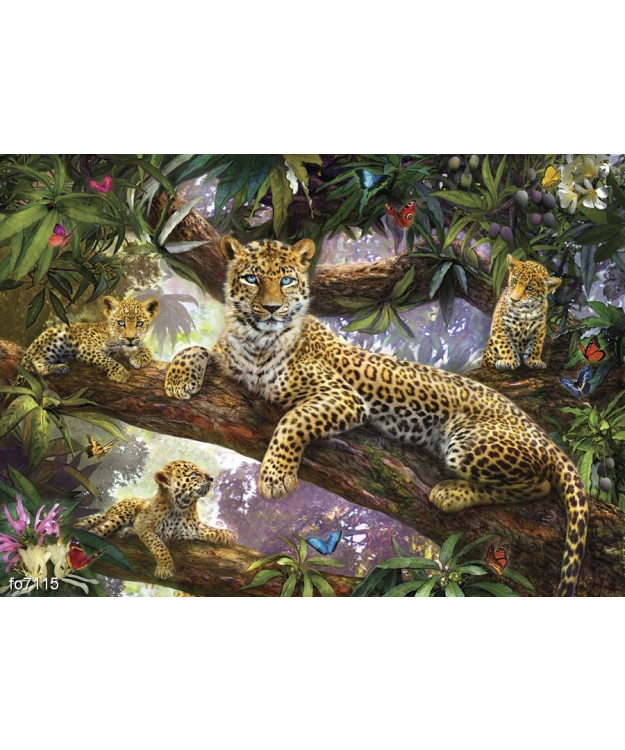 yan-patrik-krasnyy-semya-leopardov