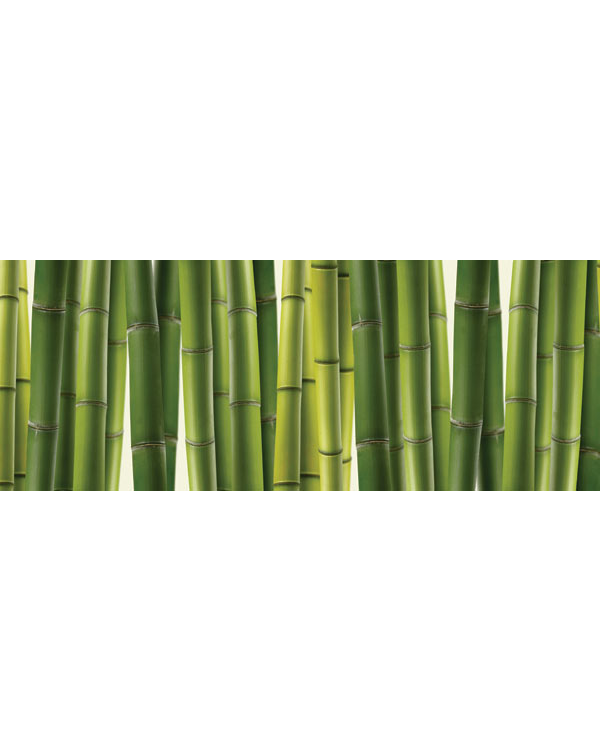 m-168-stena-iz-molodogo-bambuka