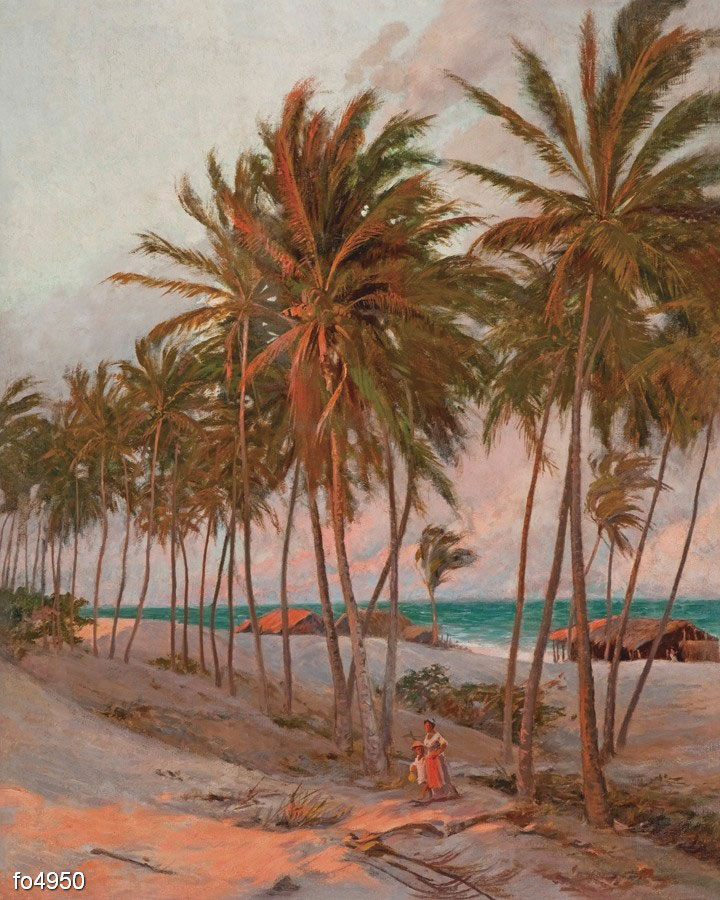 aurelio-figeyredo-plyazh-v-gorode-fortaleza