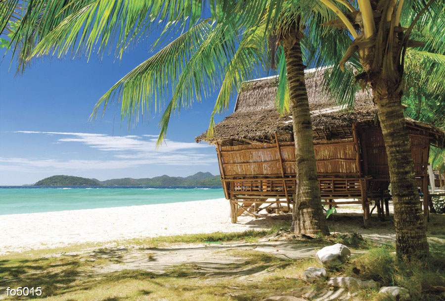 bambukovaya-khizhina-na-plyazhe