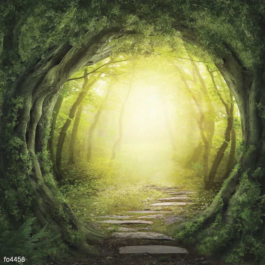 doroga-v-tumannom-lesu