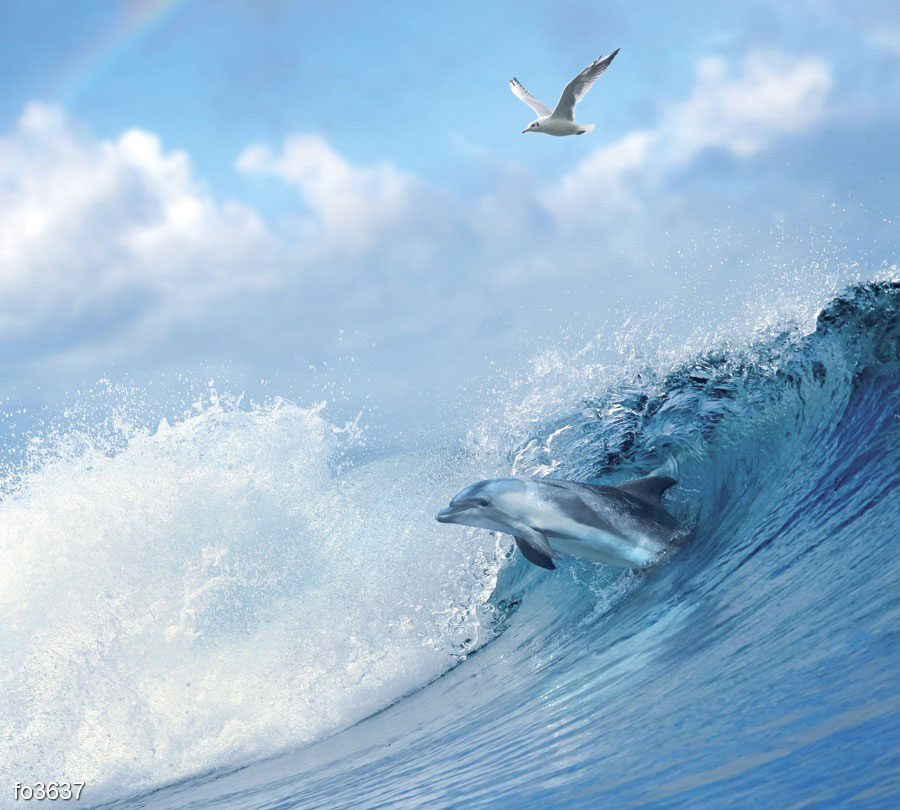 nabegayushchaya-volna