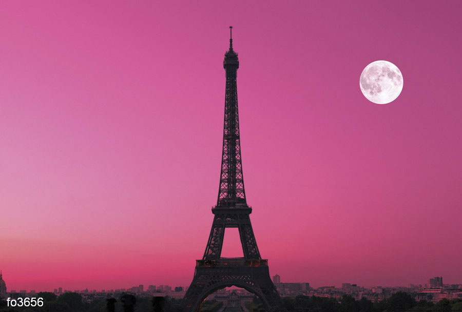 eyfeleva-bashnya-v-parizhe