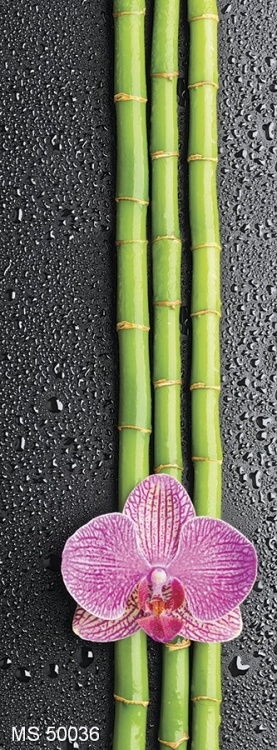 orkhideya-i-bambuk