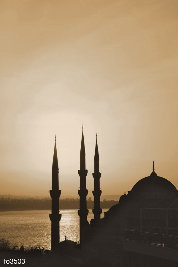 vid-na-mechet-v-nochnoe-vremya