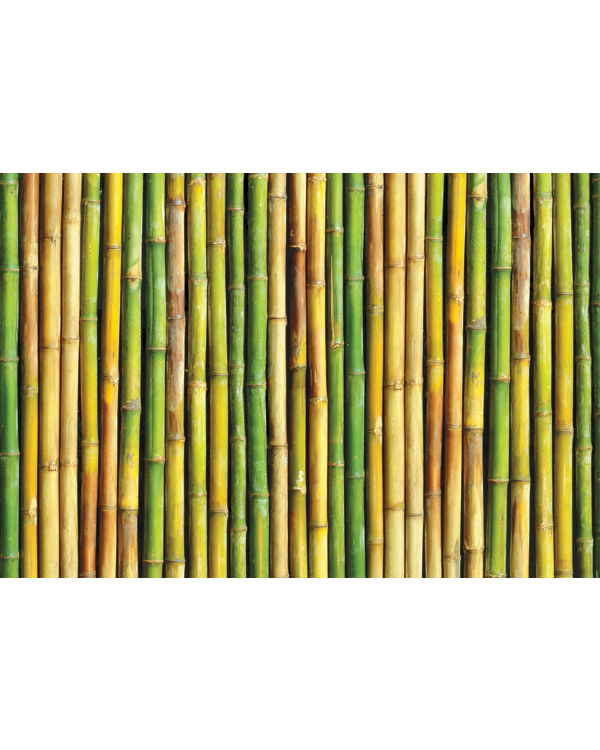 m-169-stena-iz-tsvetnogo-bambuka