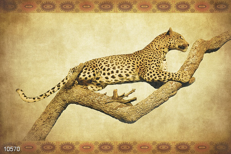 leopard-na-okhote