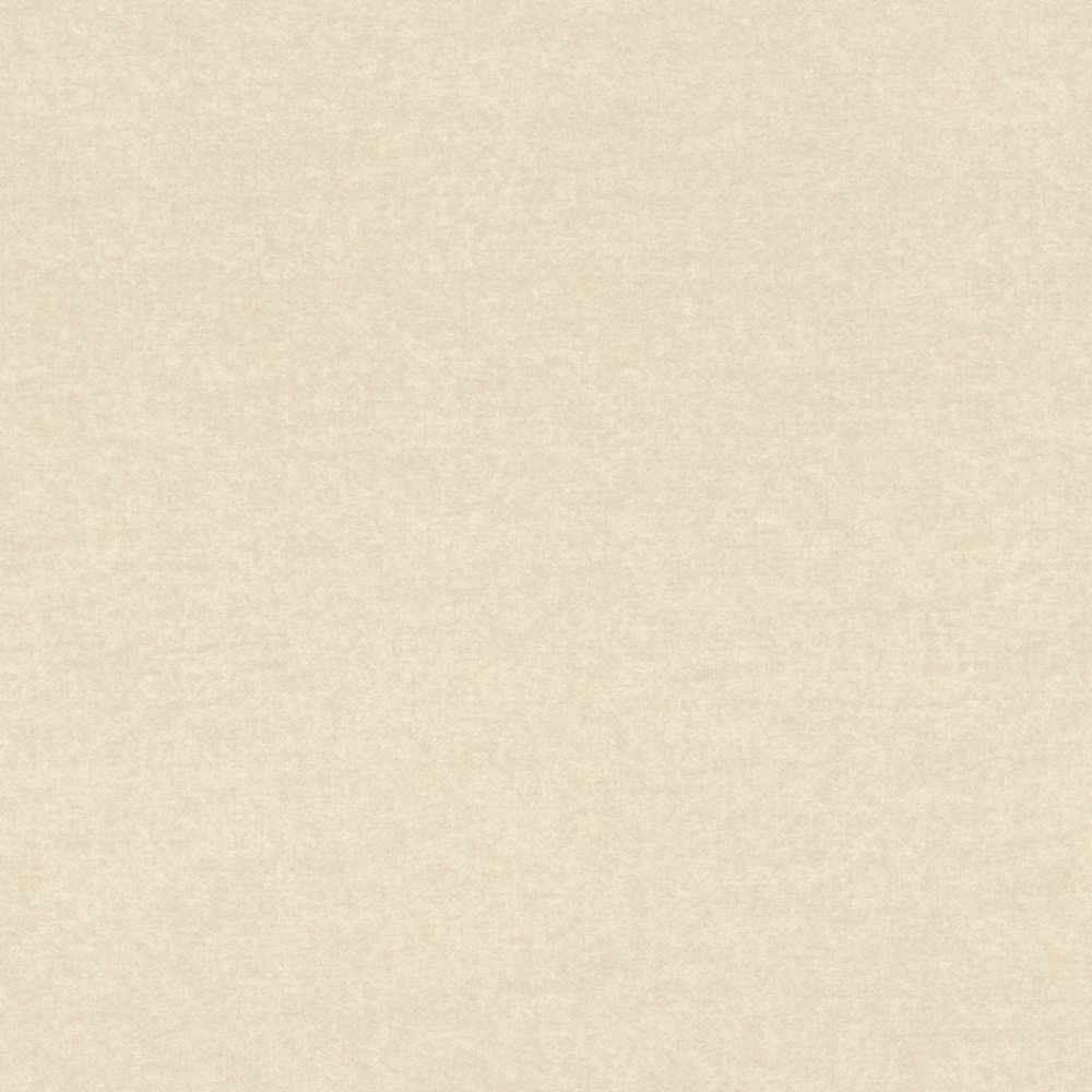 oboi-297606-rasch-textil-alliage
