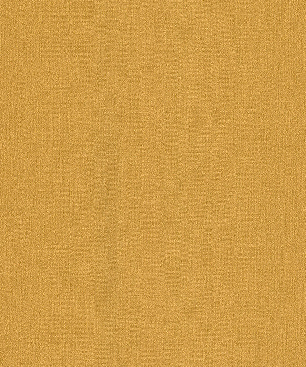 545845 545845