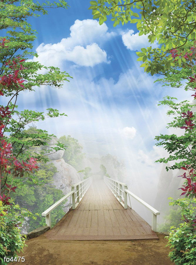 gornyy-mostik-tumannym-utrom