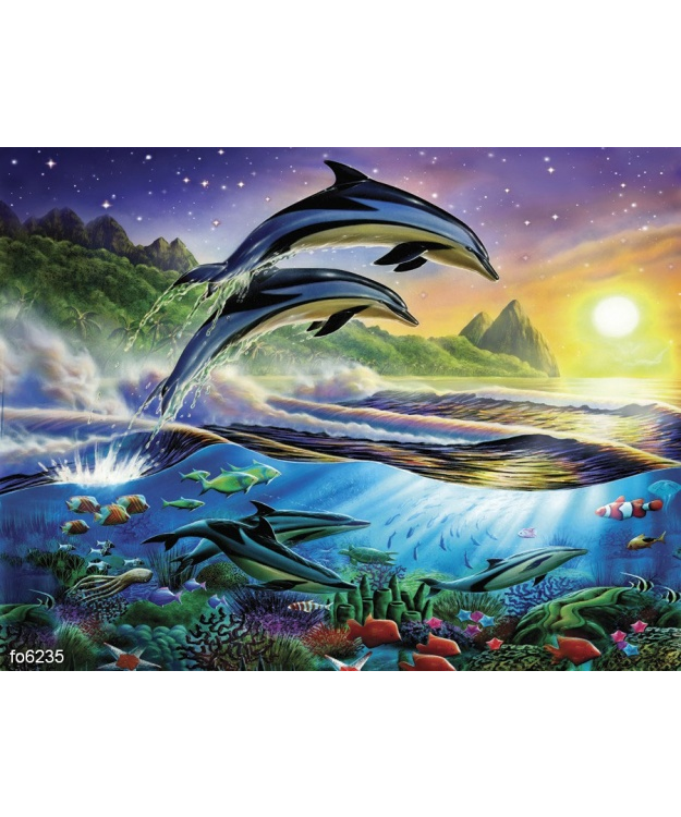 adrian-chesterman-atlanticheskie-delfiny