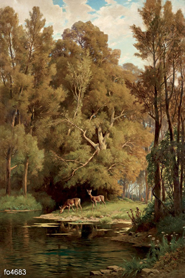 german-korrodi-oleni-v-lesu