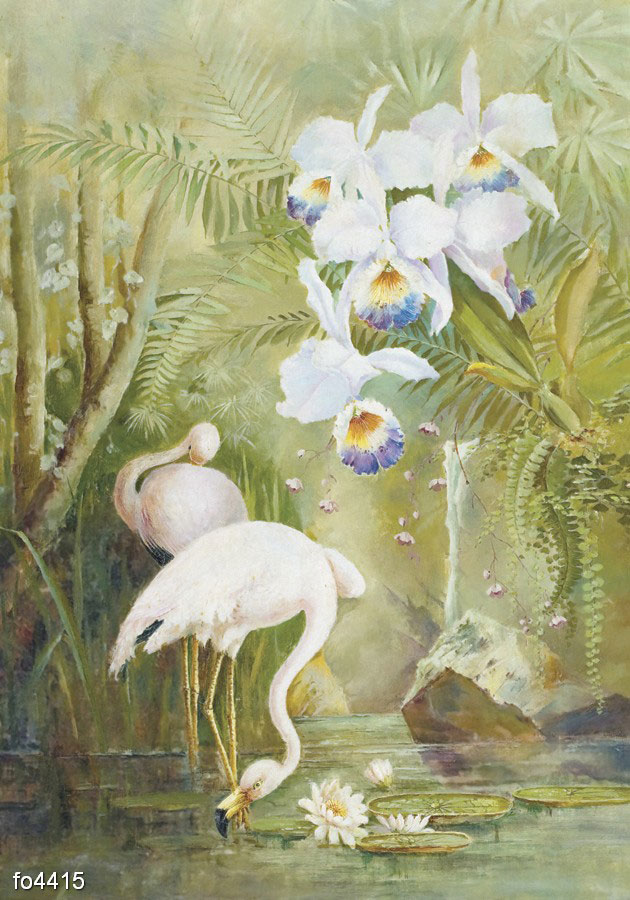 para-flamingo-s-liliyami