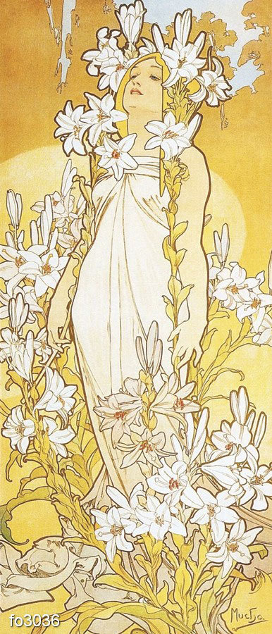 a-mukha-liliya-iz-tsikla-tsvety