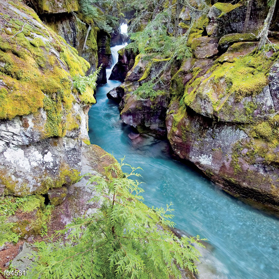 ushchele-v-doline-gleysher