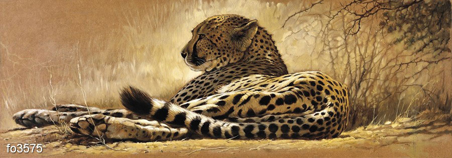 gepard