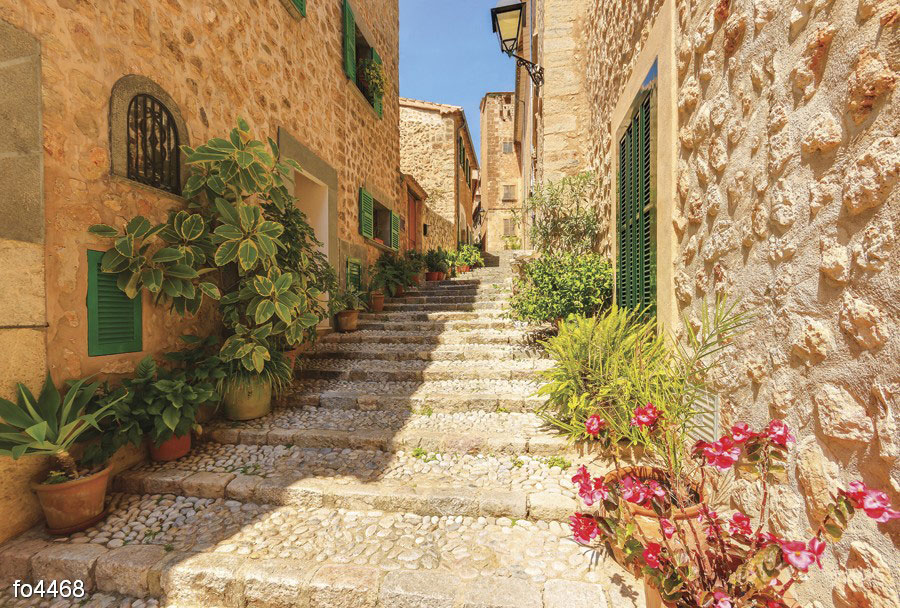 ulitsa-v-gorodke-fornaluch