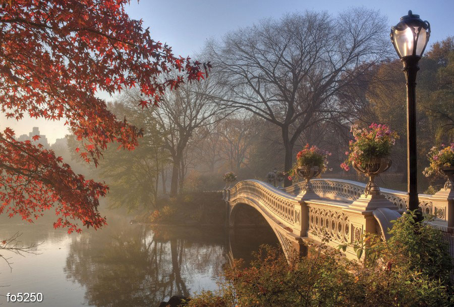 tsentralnyy-park-v-nyu-yorke