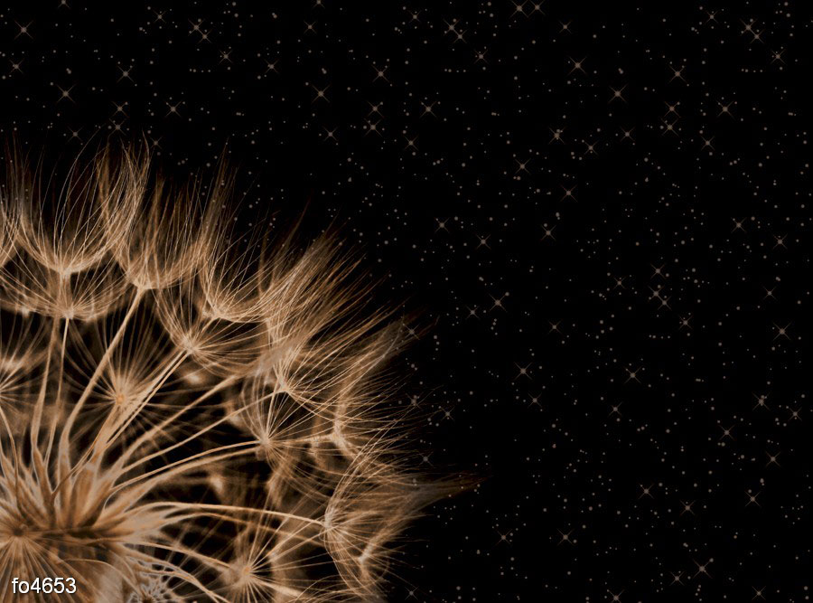 kosmicheskiy-oduvanchik