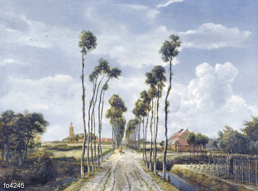 meyndert-khobbema-alleya-v-middelkharnise