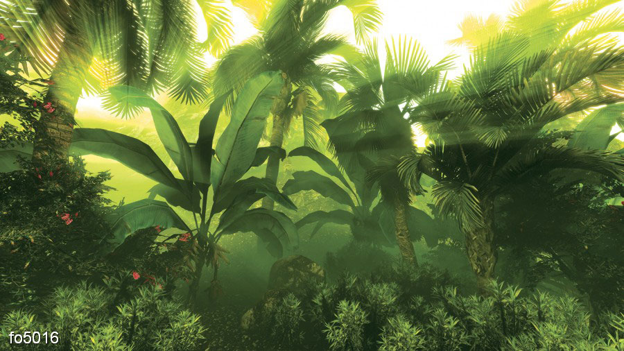 utro-v-tropicheskom-lesu