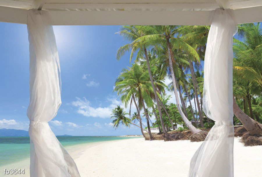 palmy-na-tropicheskom-beregu-2