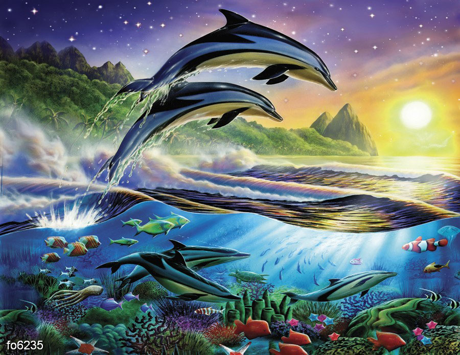 adrian-chesterman-atlanticheskie-delfiny