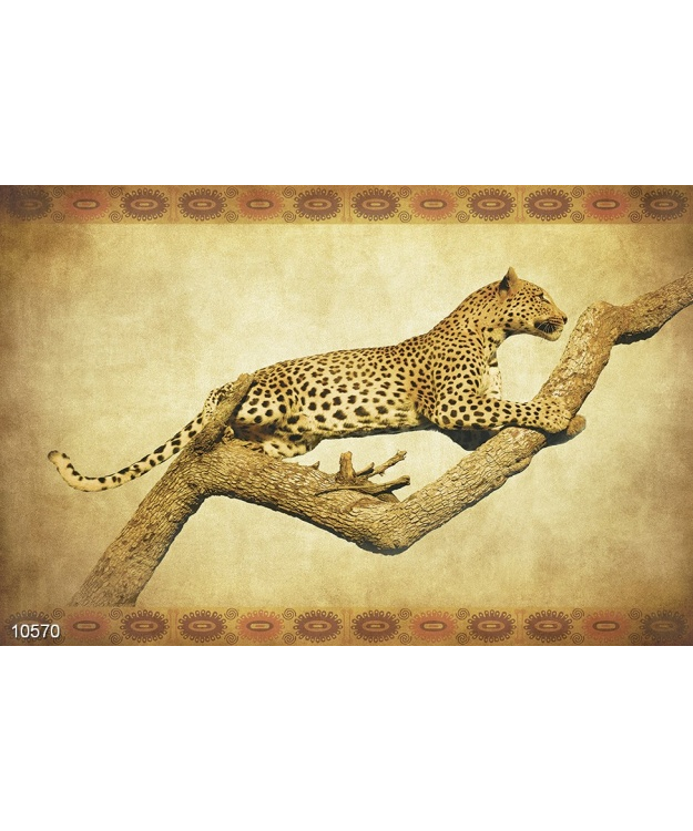 leopard-na-okhote