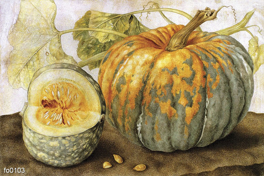 dzhovanna-garzoni-tykva