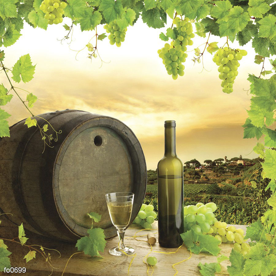 wine-grapes-and-grapevine