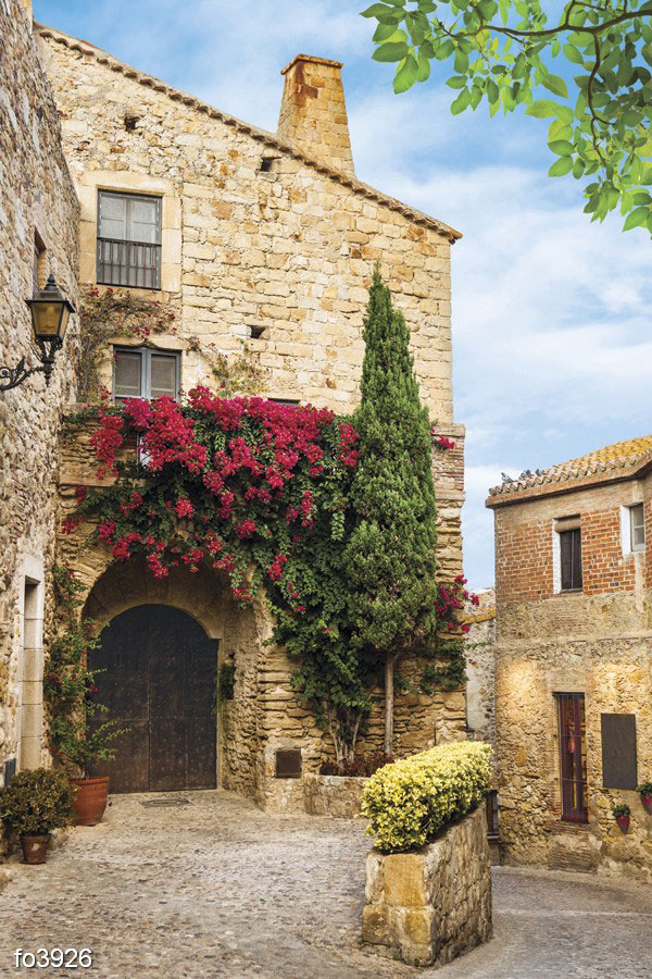 vid-na-kamennye-doma