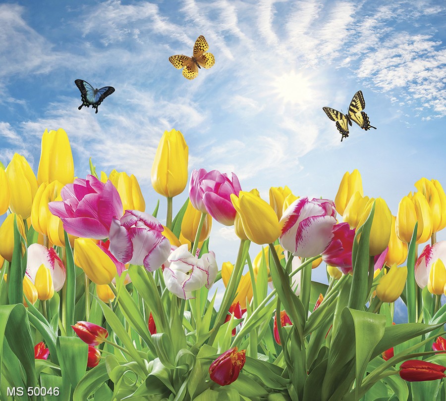 raznotsvetnye-tyulpany