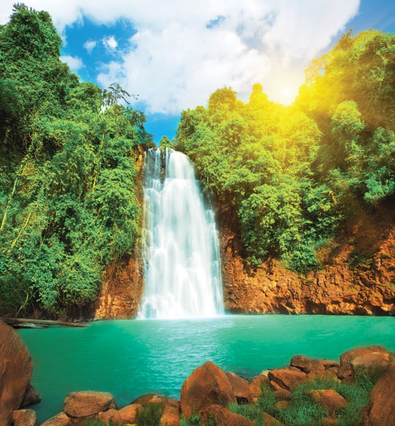 m-273-vodopad-v-tropikakh