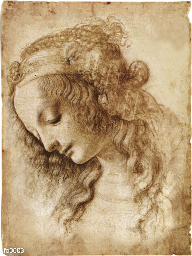 leonardo-da-vinchi-golova-zhenshchiny