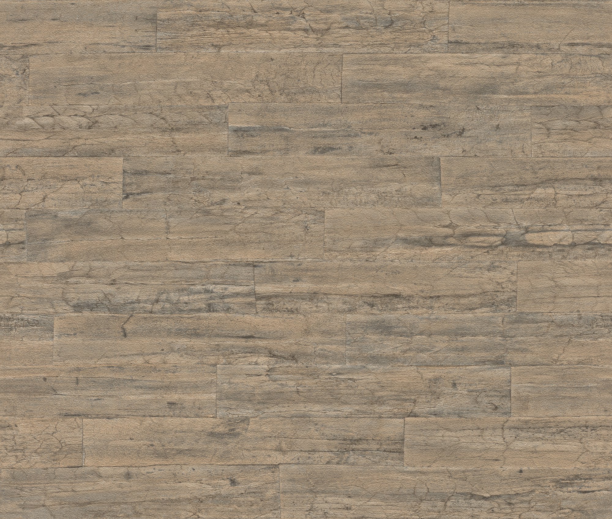 oboi-537031-rasch-curiosity