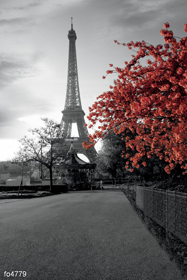 osennee-utro-u-eyfelevoy-bashni