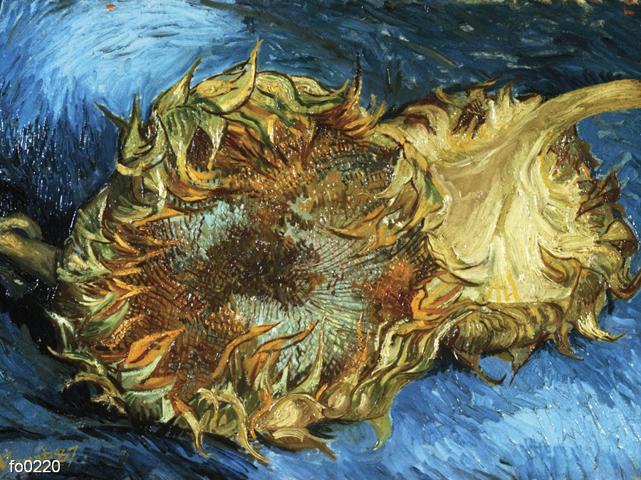 van-gog-dva-podsolnukha