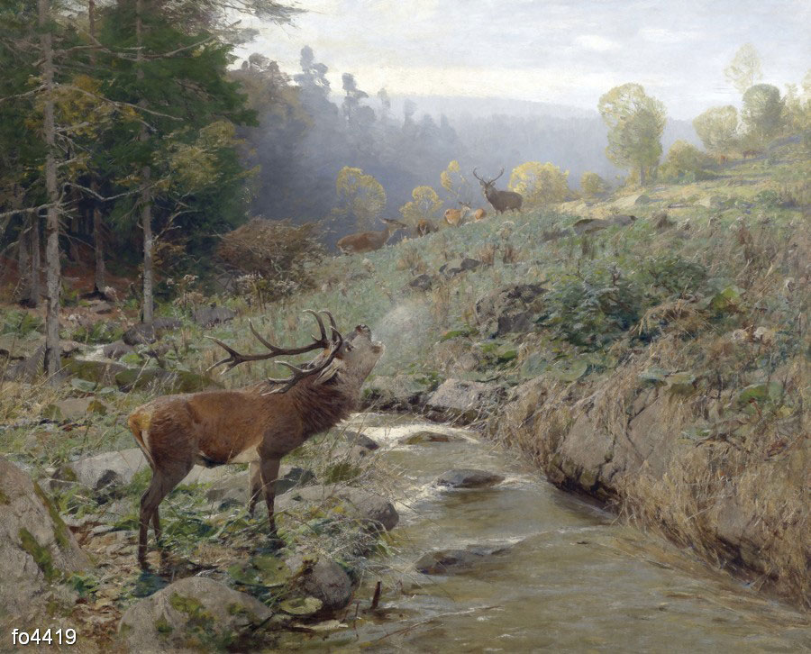 i-k-kryener-dikie-oleni