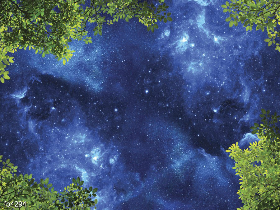 nochnoe-nebo-i-listva