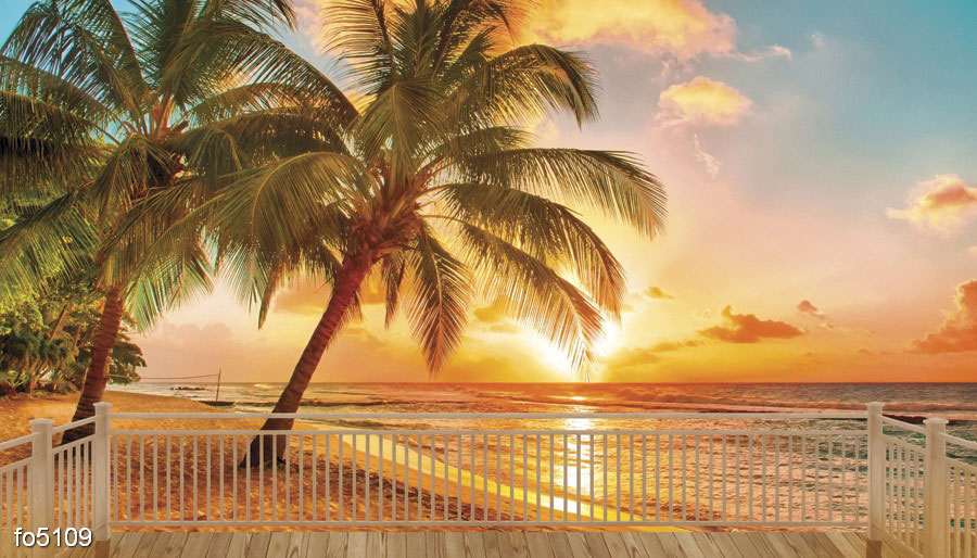 Солнце пальмы пляж