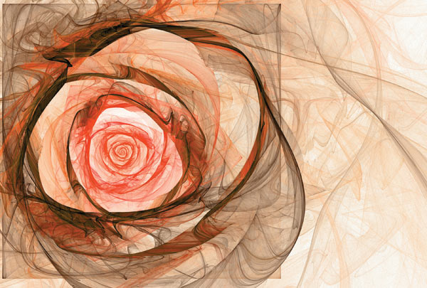 m-162-kruzhevnaya-roza