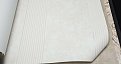 oboi-60107-1-bruno-zoff-platinum