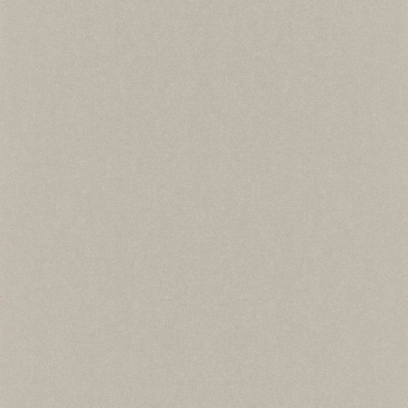 oboi-501179-rasch-kerala