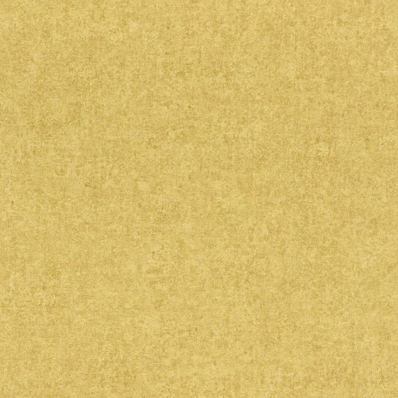 oboi-551822-rasch-kerala