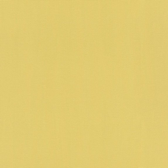 oboi-411836-rasch-hyde-park