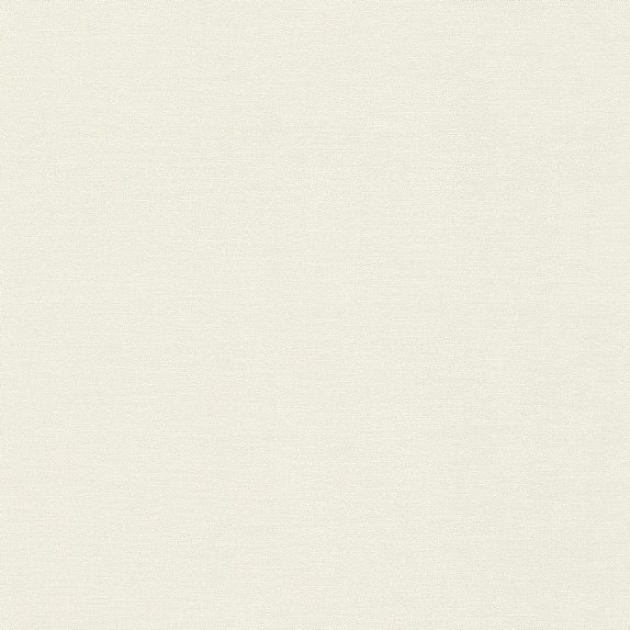 oboi-408249-rasch-natural-colors